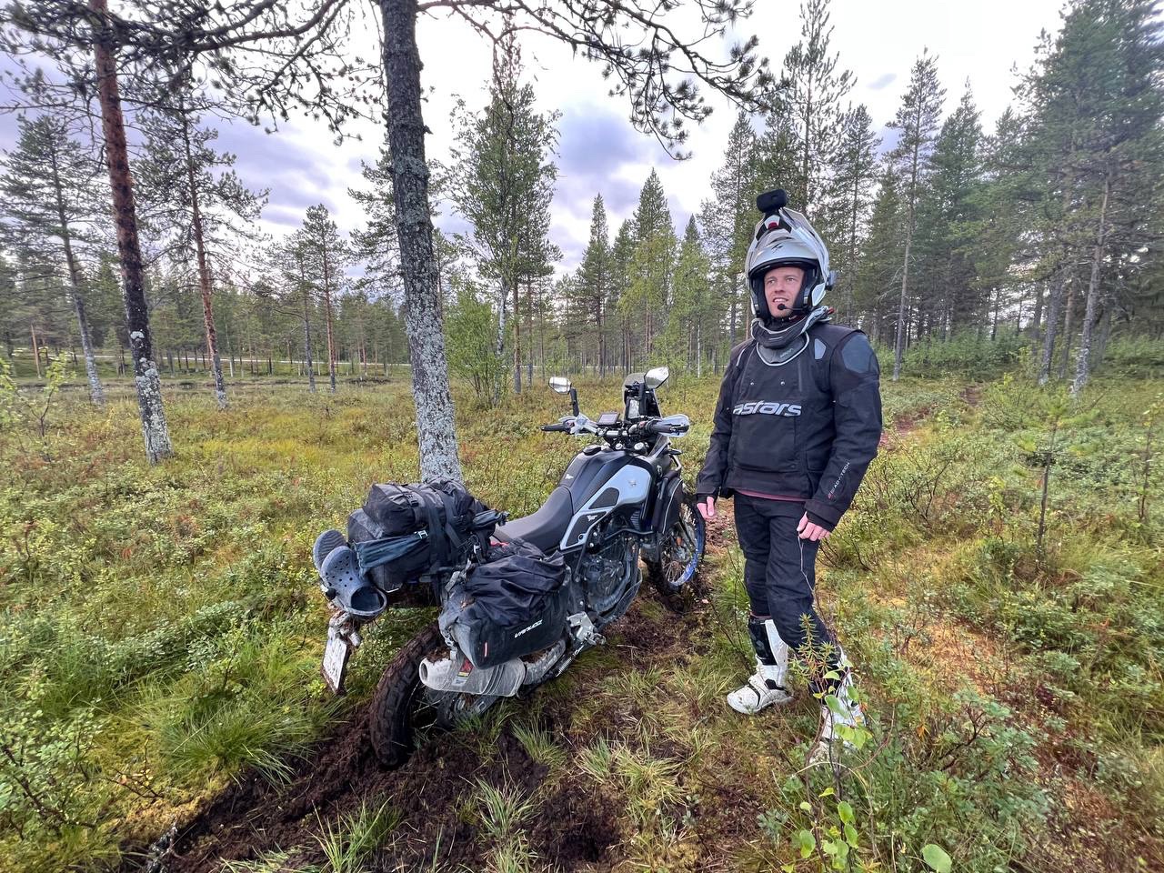 Parking in the forest