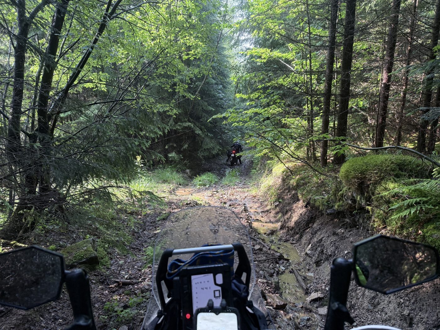 A motorcycle on a rutted forest two-track in the Apuseni