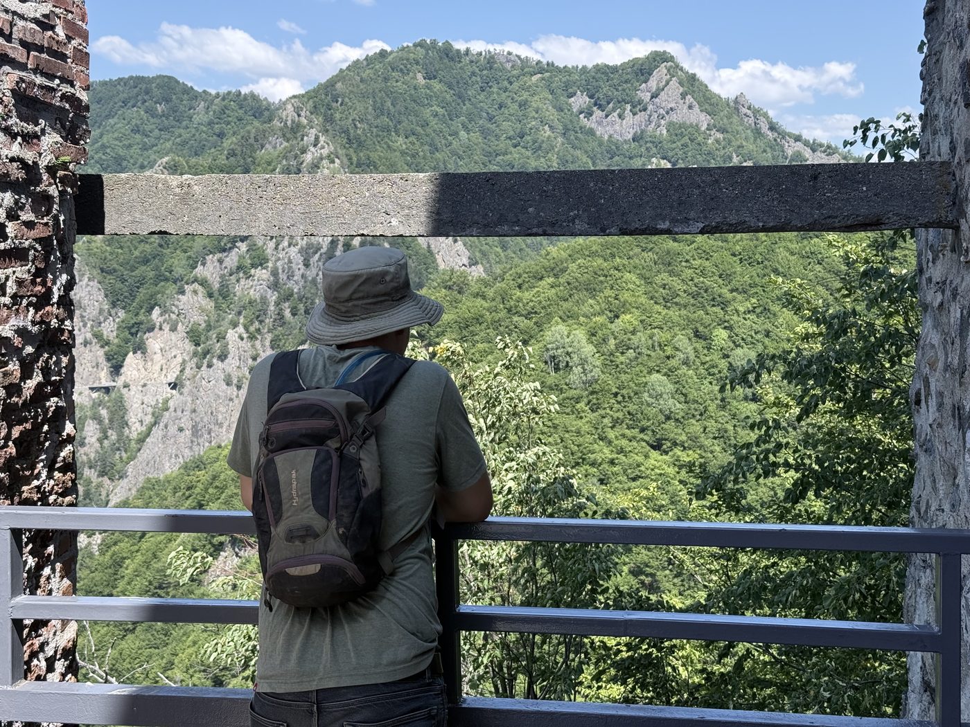 View over a forested gorge from the ruins of Poenari Fortress
